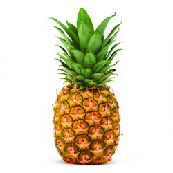 0926202309231054.png