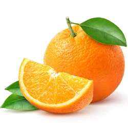 0947202309231053.png