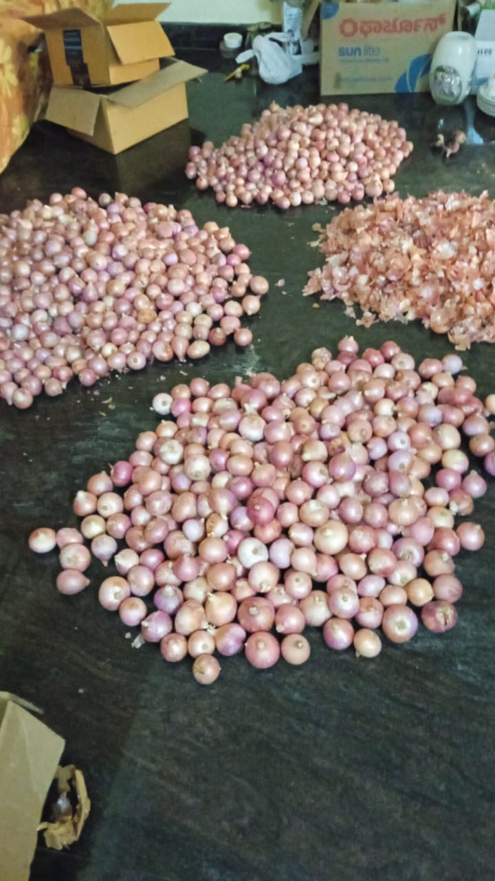 Onion