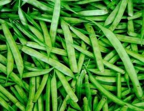 Organic Guar