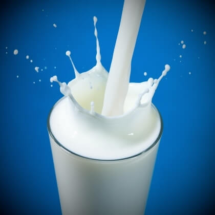 A2 Milk