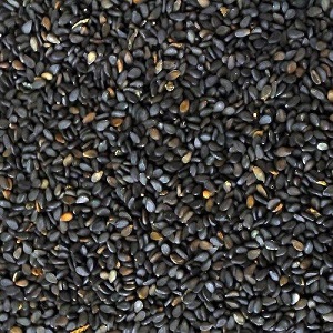 Sesame