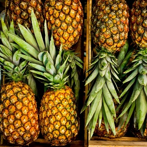 Pineapple