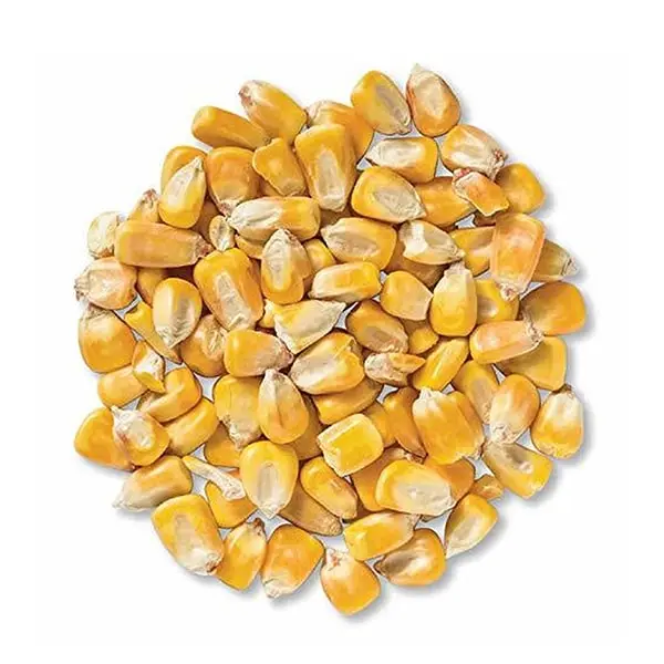Organic Corn Whole