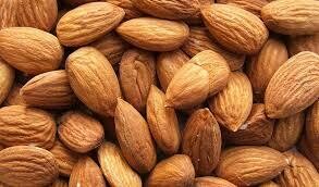 Badam Tel