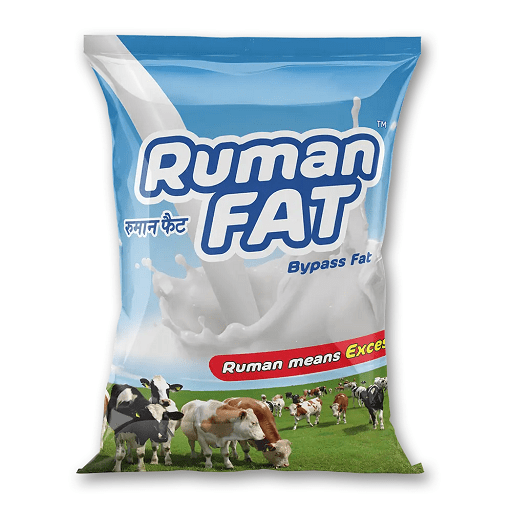 Ruman FAT