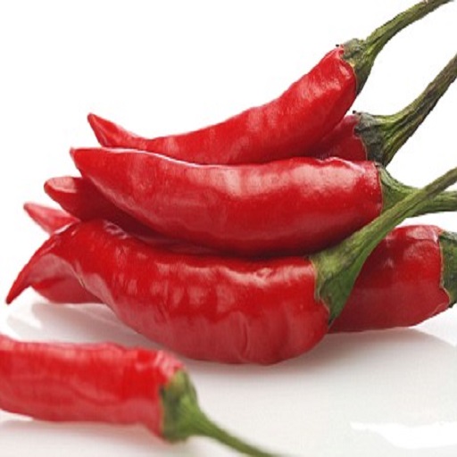 organic chilli