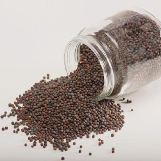Organic Black Mustard Seeds (Bold)