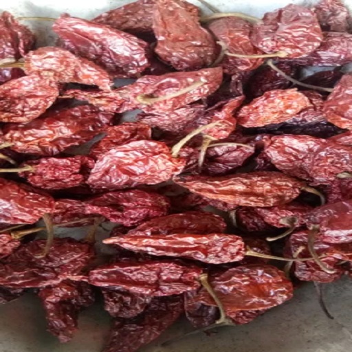 Bhut Jolokia Chillies