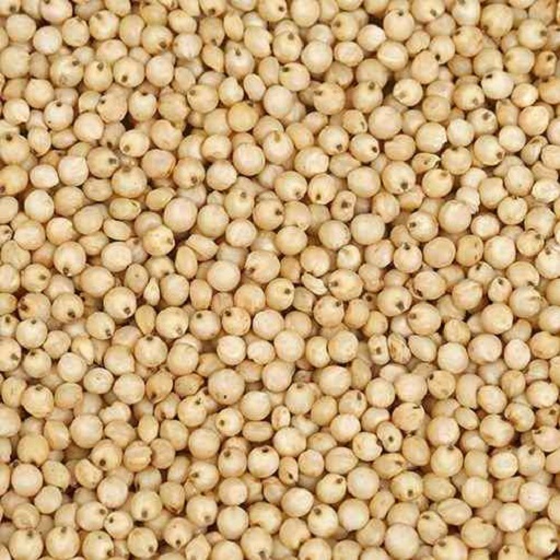 Organic White Jowar