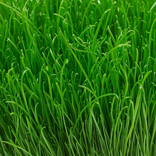 Organic Fodder