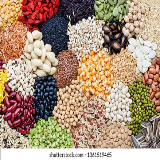 Organic Seeds