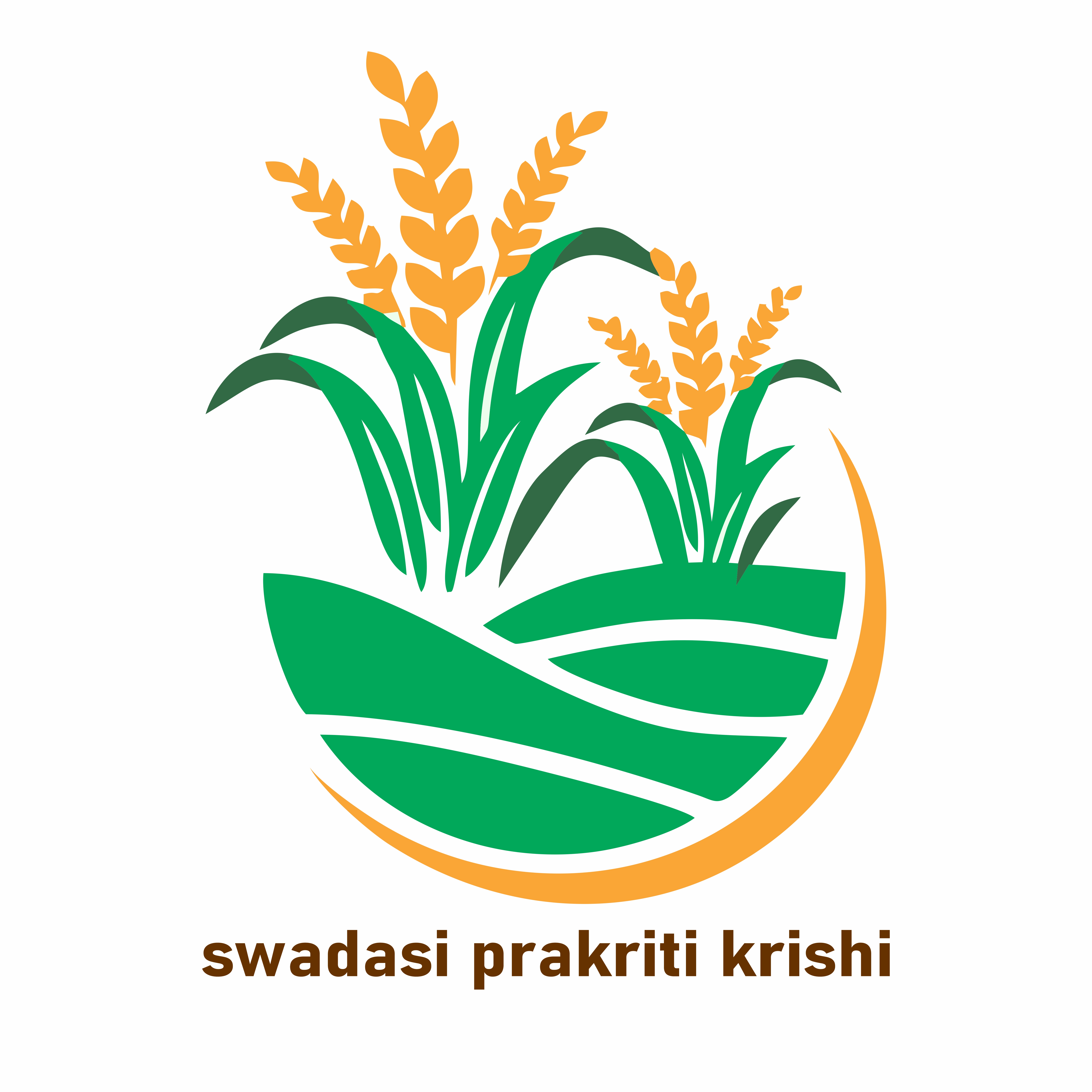 swadesh choudhary